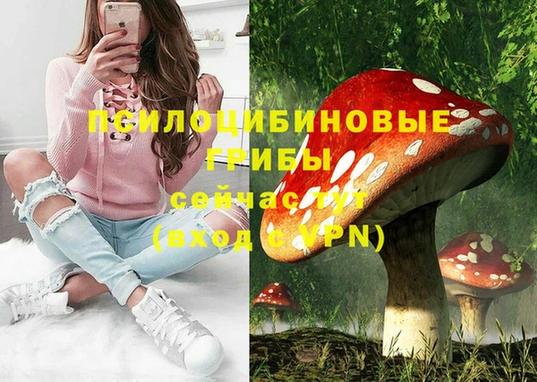 дживик Алзамай