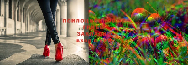 Альфа ПВП Нефтекумск