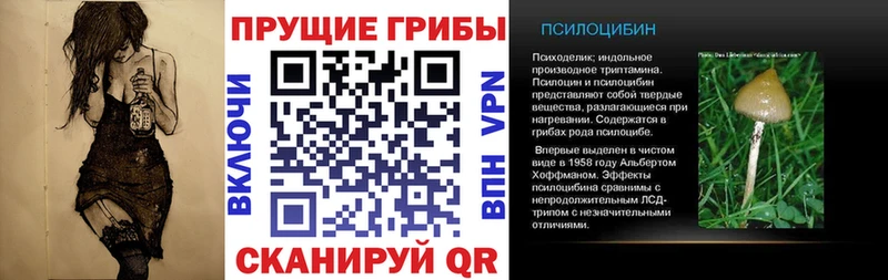 цена darknet формула Псилоцибиновые грибы MAGIC MUSHROOMS Елизаветинская